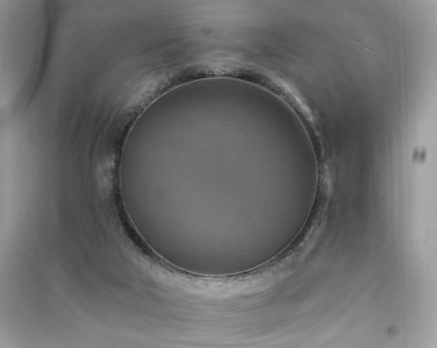 X0000091290018200708101256