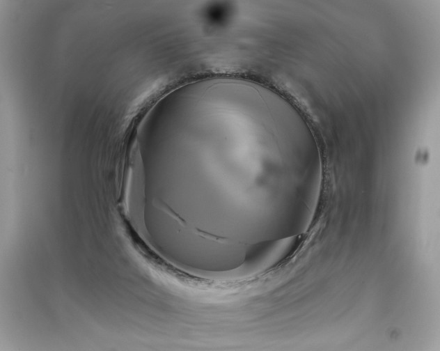 X0000091290019200708101256