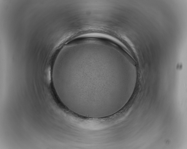 X0000091290020200708101256