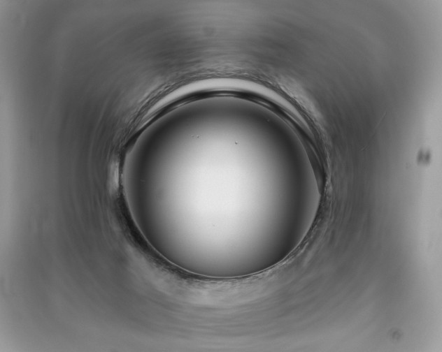 X0000091290021200708101256