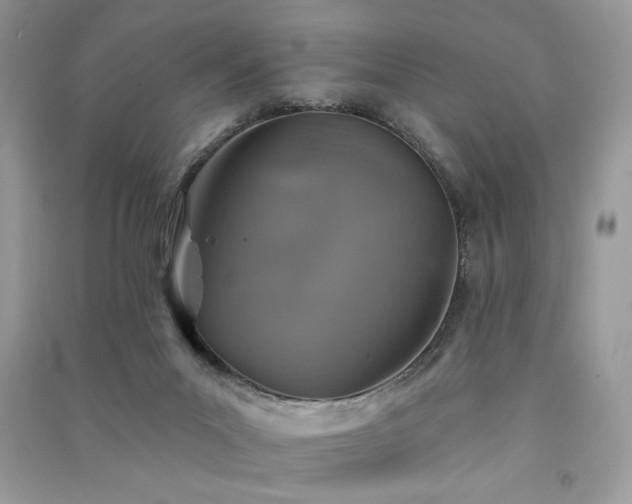 X0000091290023200708101256