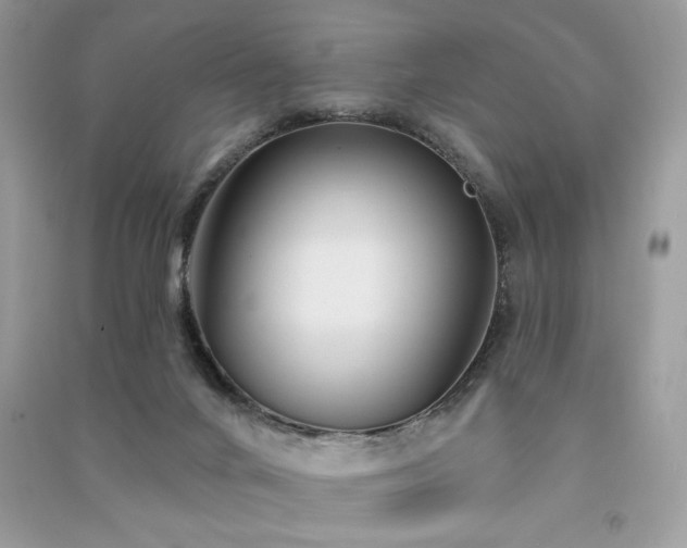 X0000091290024200708101256