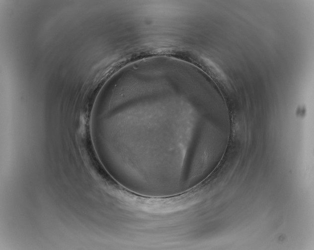 X0000091290026200708101256