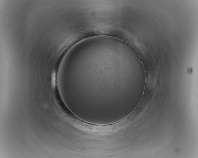 X0000091290027200708101256