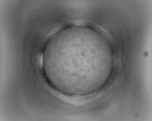 X0000091290028200708101256