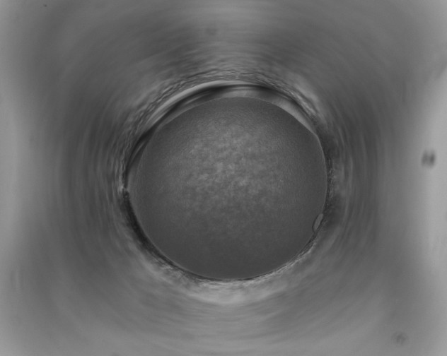 X0000091290029200708101256