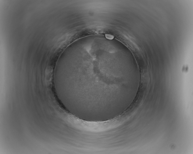 X0000091290030200708101256