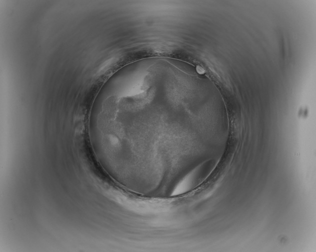 X0000091290032200708101256