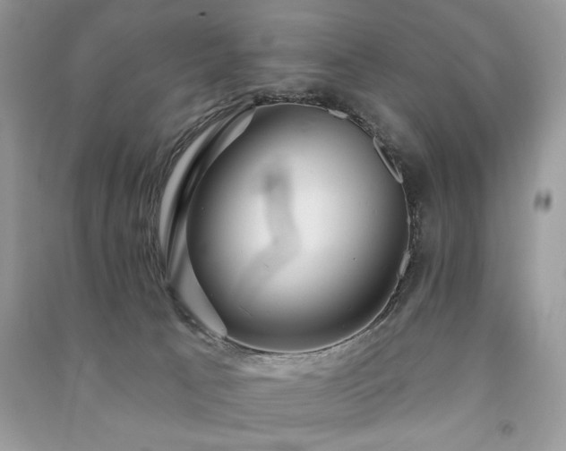 X0000091290033200708101256