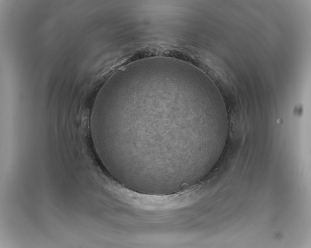 X0000091290034200708101256