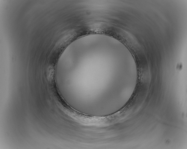 X0000091290036200708101256