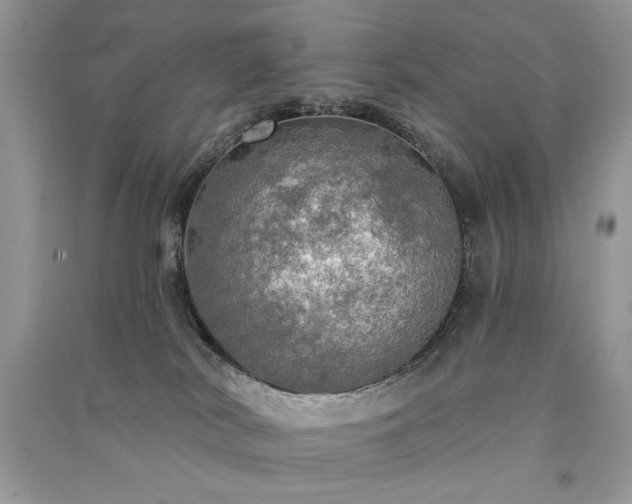 X0000091290038200708101256