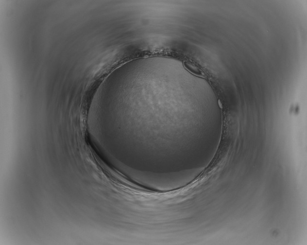 X0000091290039200708101256