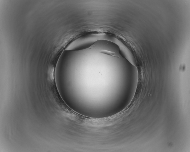 X0000091290041200708101256