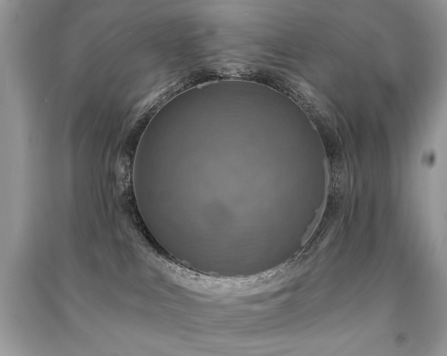 X0000091290043200708101256