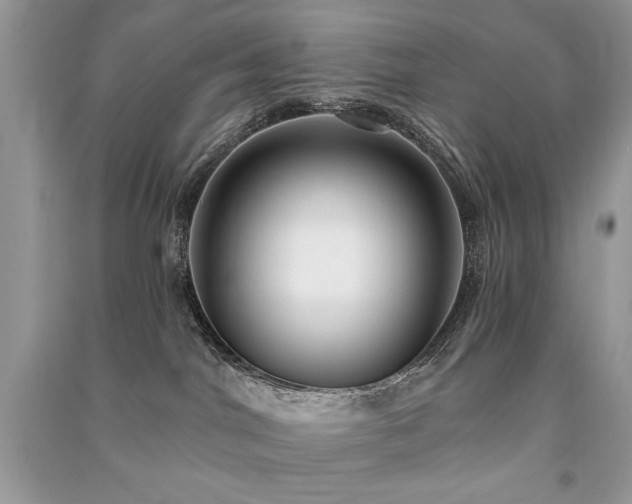 X0000091290044200708101256