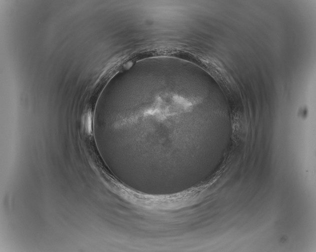 X0000091290046200708101256