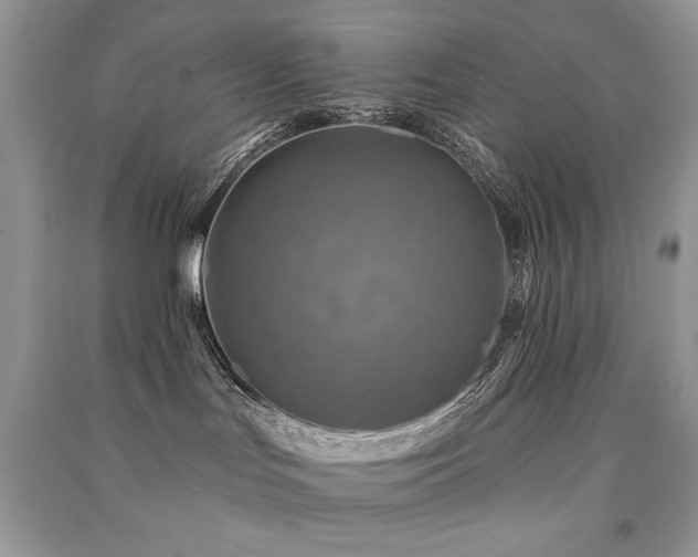 X0000091290047200708101256