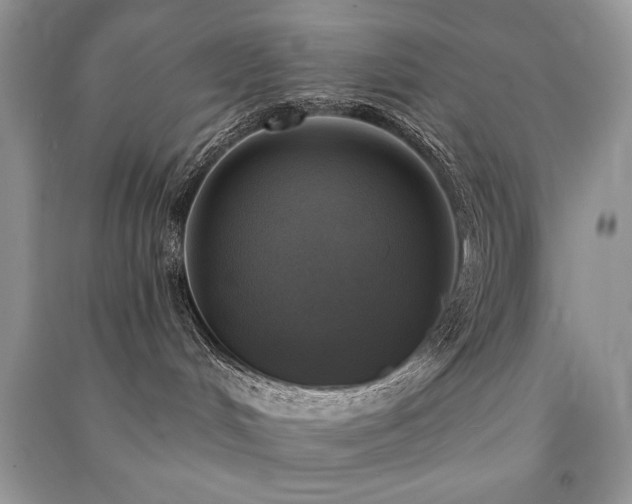 X0000091290048200708101256