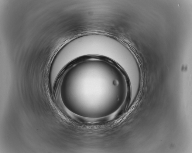 X0000091290049200708101255