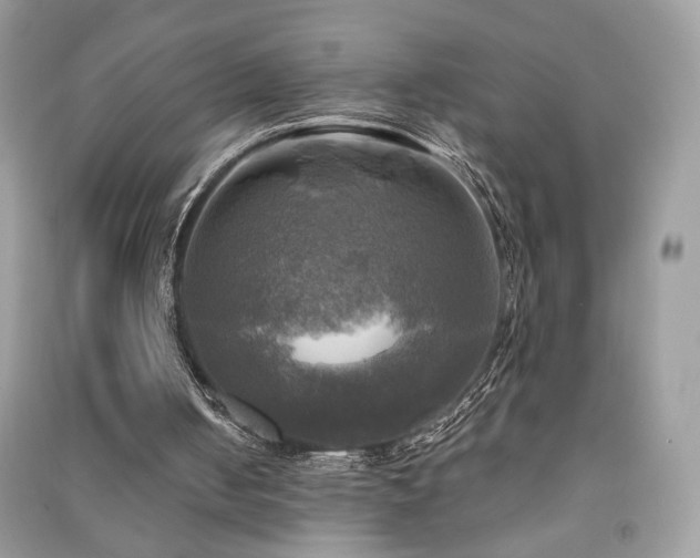 X0000091290050200708101255