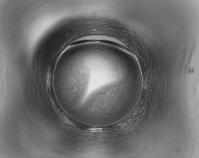 X0000091290052200708101255