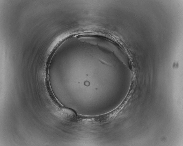 X0000091290054200708101255