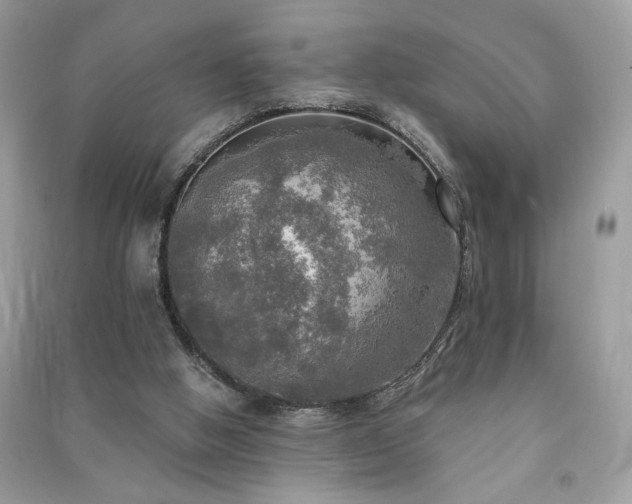 X0000091290058200708101255