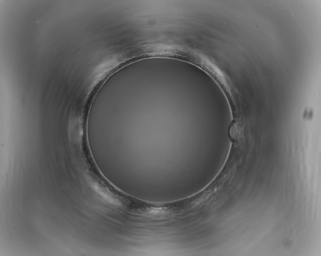 X0000091290059200708101255