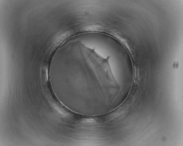 X0000091290061200708101255