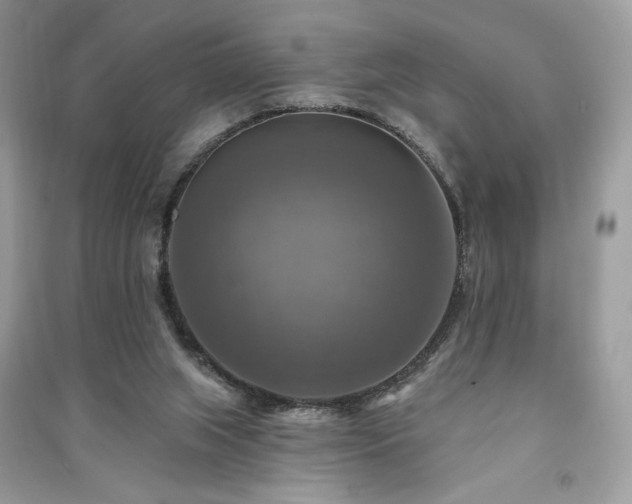 X0000091290063200708101255