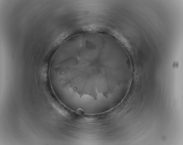 X0000091290065200708101255