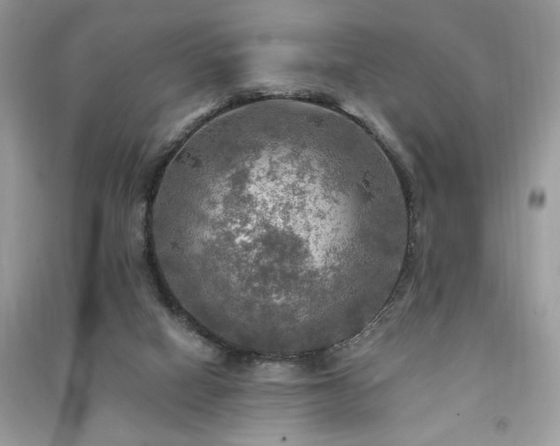 X0000091290066200708101255