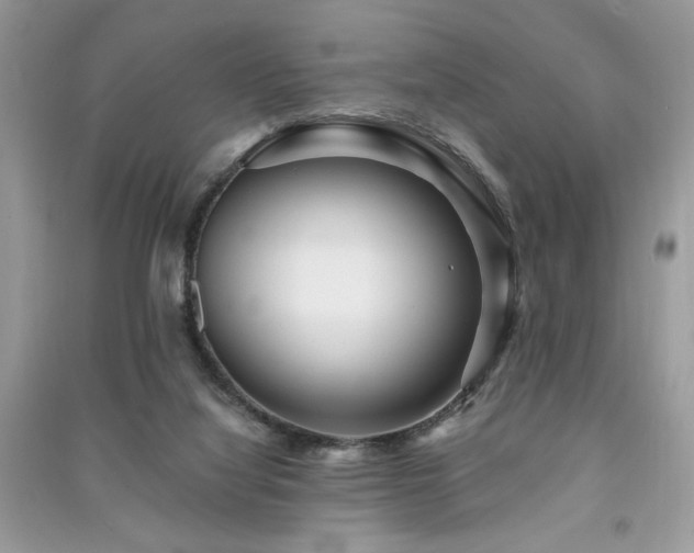 X0000091290068200708101255