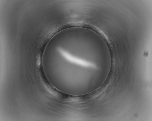 X0000091290069200708101255