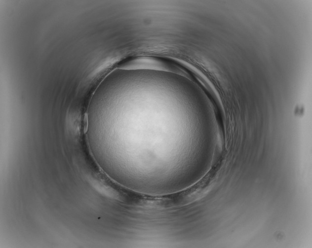 X0000091290072200708101255