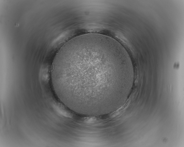 X0000091290074200708101255