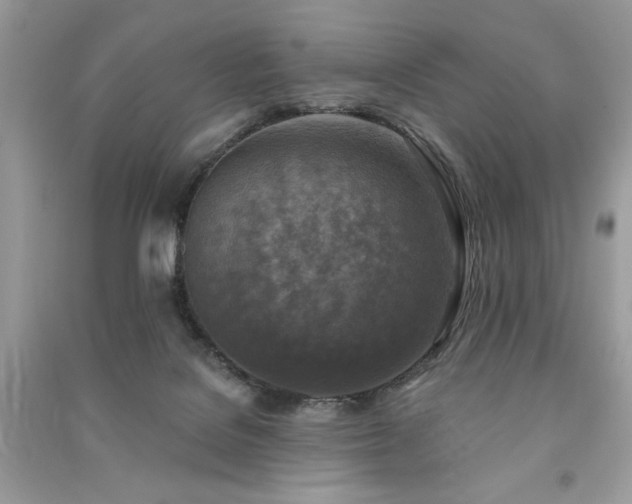 X0000091290076200708101255