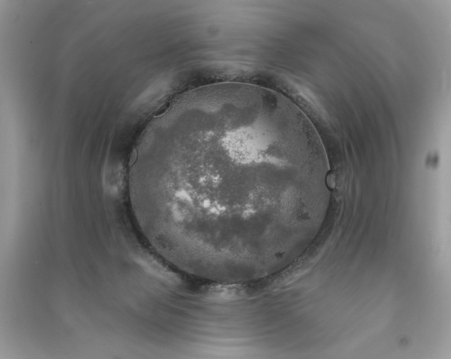 X0000091290077200708101255