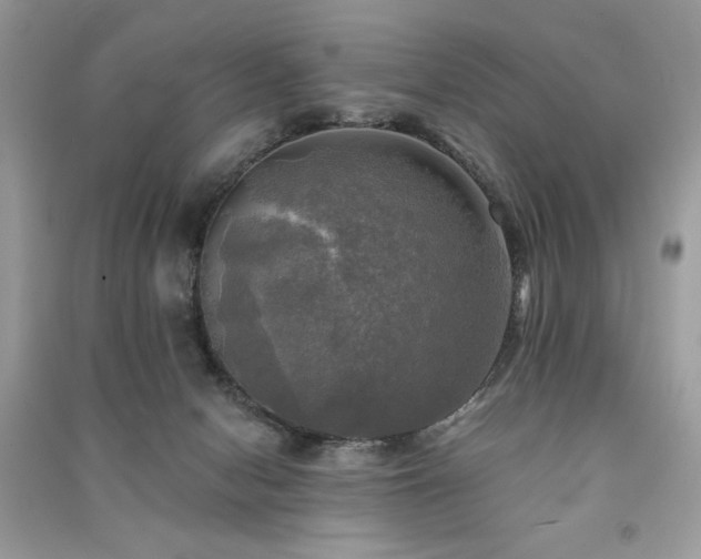 X0000091290078200708101255