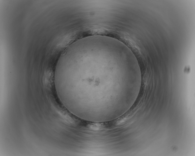 X0000091290079200708101255