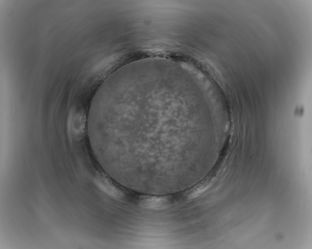 X0000091290081200708101255