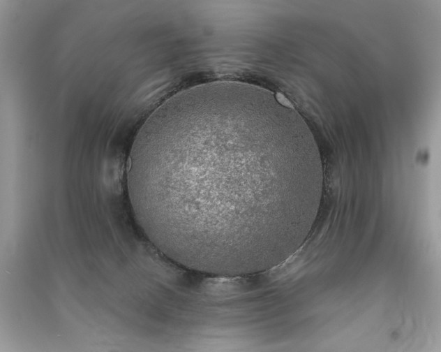 X0000091290082200708101255