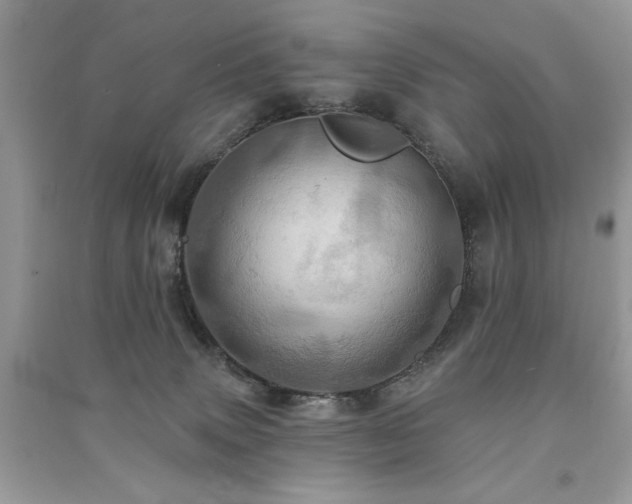 X0000091290083200708101255