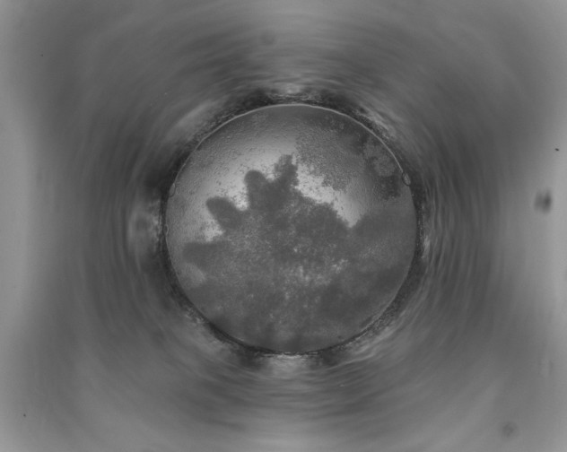 X0000091290085200708101255