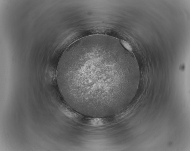 X0000091290091200708101255