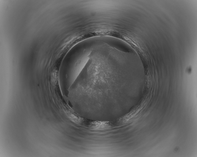 X0000091290093200708101255