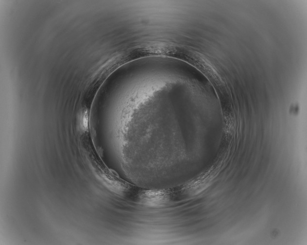 X0000091290095200708101256