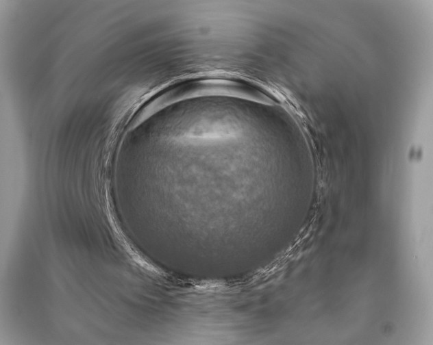 X0000091290097200708101255