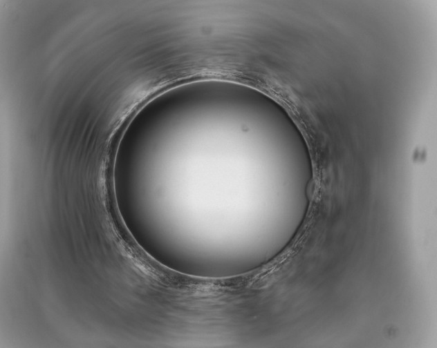 X0000091290098200708101255